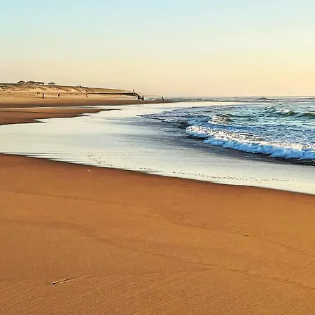 Sc G01 By Interhome Apartament